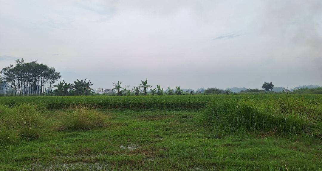 Prakiraan Cuaca Kota Mojokerto, Minggu 6 Juli 2026 : Cerah Berawan, Waspadai Hujan Lokal di Sore Hari