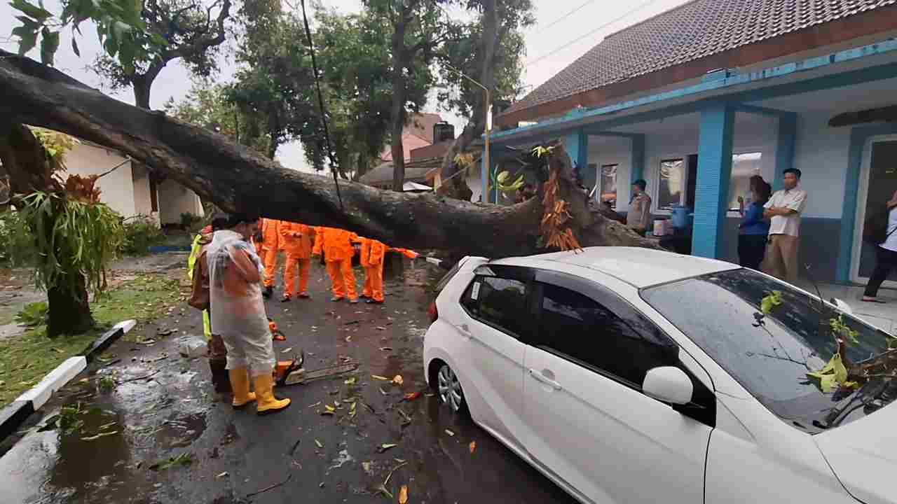Mobil Guru Tertimpa Pohon Tumbang di Halaman UPT BLK Mojokerto