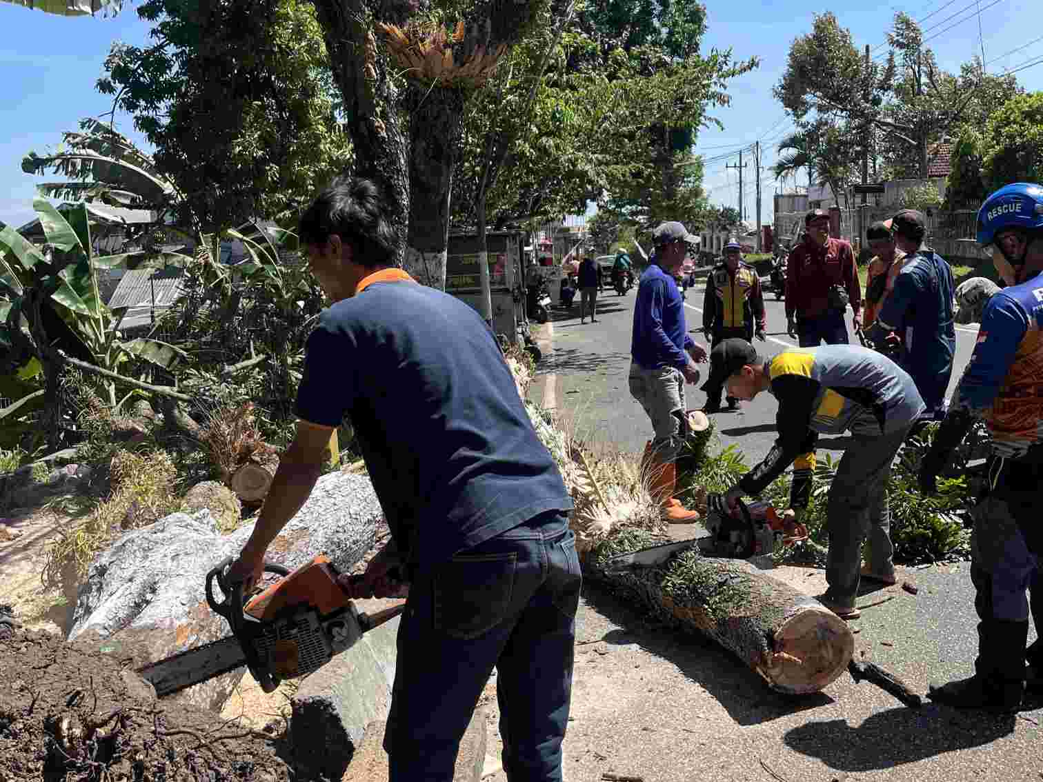 Cuaca Ekstrem di Mojokerto, Angin Kencang Robohkan Pohon dan Rusakkan Tempat Usaha