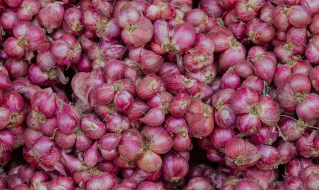 Harga Pangan Turun, Kabupaten Mojokerto Catat Deflasi 0,09 Persen pada September 2025