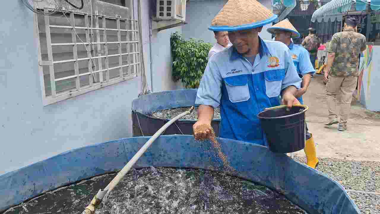 Dukung Ketahanan Pangan Nasional, Lapas Mojokerto Hasilkan 65 Ribu Lele Bioflok dan Sayur Hidroponik