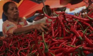 Musim Kemarau Bikin Harga Cabai di Pasar Baru Tuban Tembus Rp65 Ribu per Kilogram