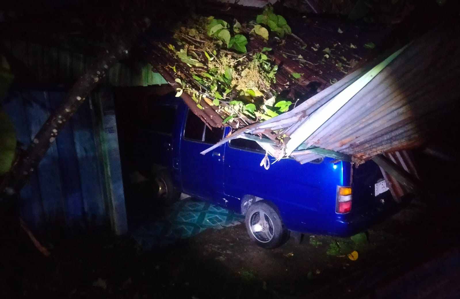 Pohon Tumbang Akibat Angin Kencang di Desa Ngares Kidul Mojokerto