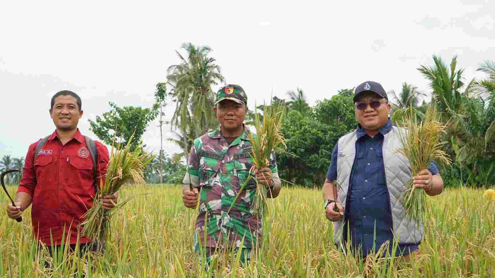 BULOG Jatim Serap 196 Ribu Ton Gabah Petani, Lampaui Target Awal 2026