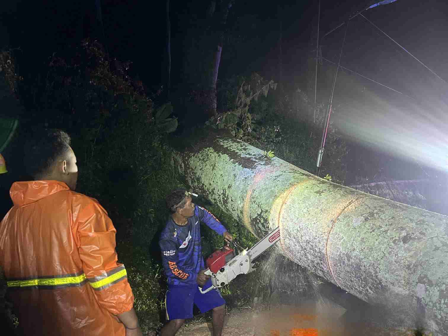 Cuaca Ekstrem Terjang Mojokerto, Pohon Tumbang Timpa Pengendara di Jalur Pacet–Cangar