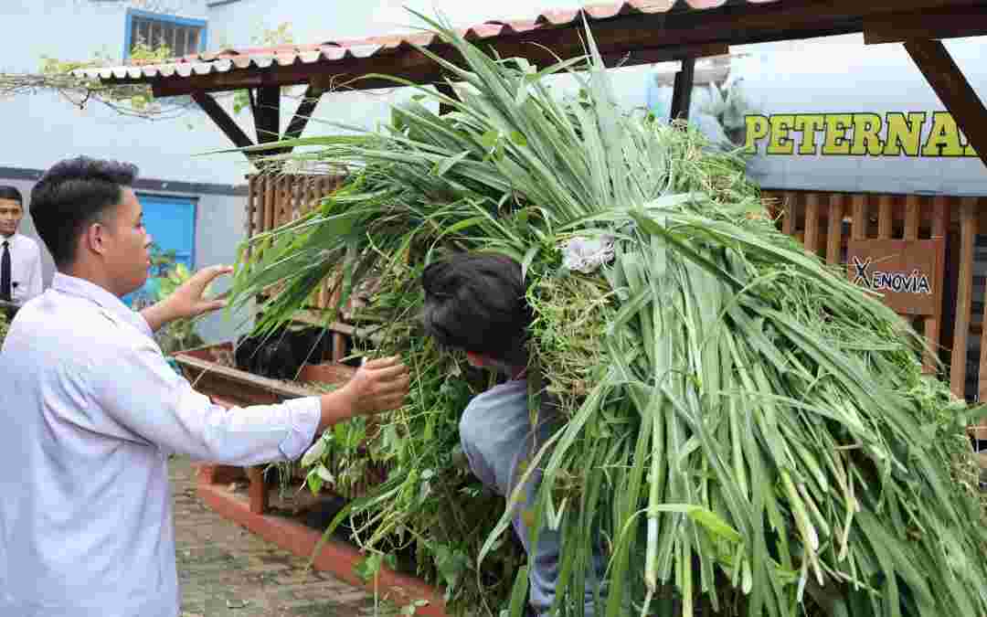 Lapas Mojokerto Optimalkan Pembinaan Kemandirian Lewat Peternakan Kambing