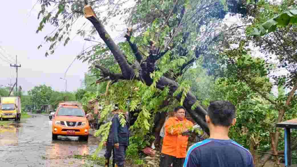 Angin Kencang Terjang Puri Mojokerto, Rumah Rusak hingga Akses Jalan Sempat Terganggu