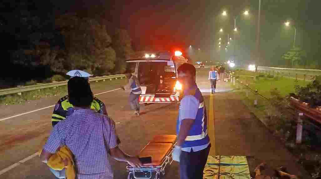 Kernet Pick Up Muatan Kulit Sapi Tertabrak Avanza di Tol Surabaya-Mojokerto