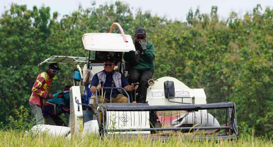 BULOG Jatim Serap 500 Ribu Ton Gabah, Perkuat Cadangan Pangan Nasional