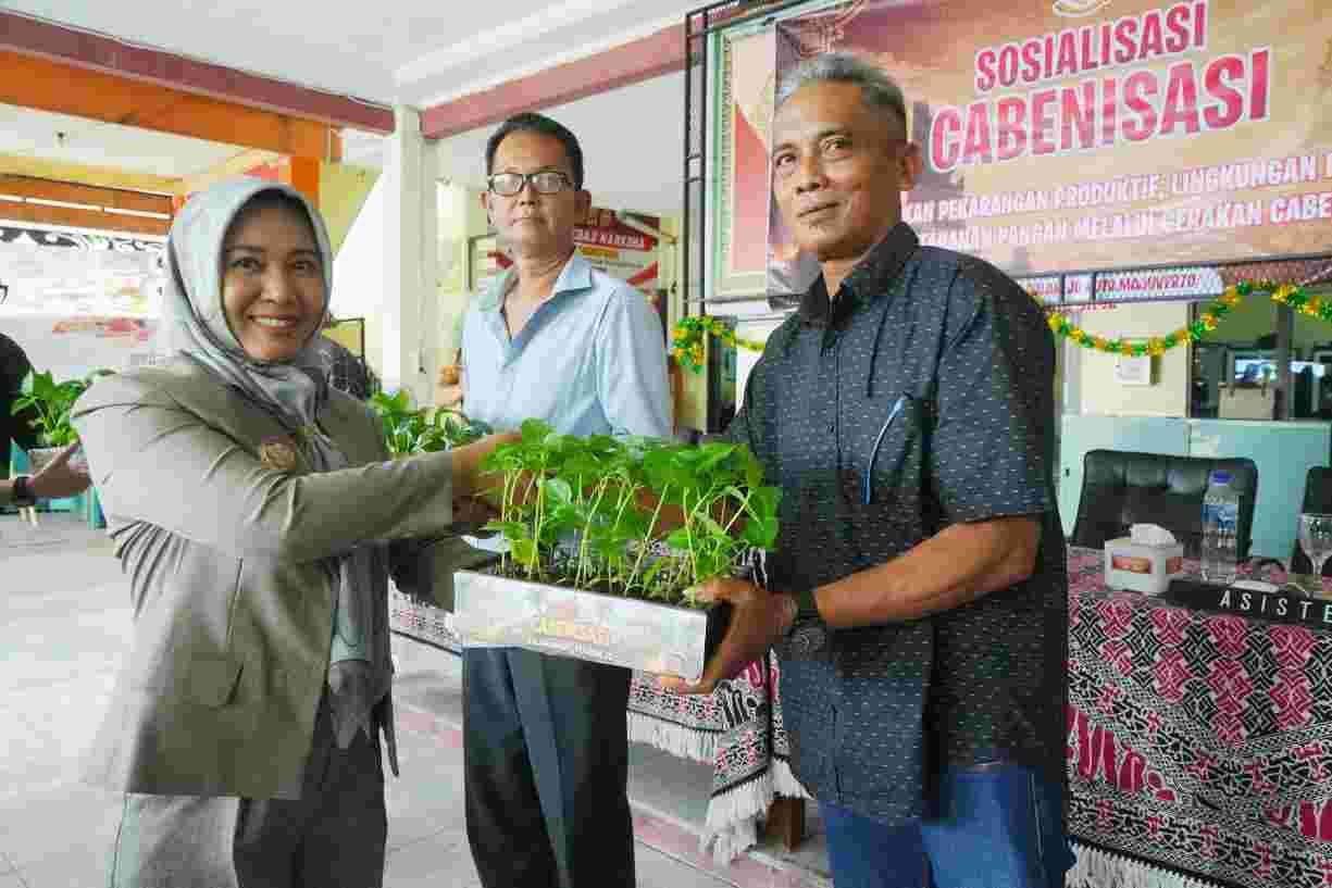 Gerakan Cabenisasi Mojokerto Diperluas, Warga Didorong Mandiri Pangan dari Pekarangan