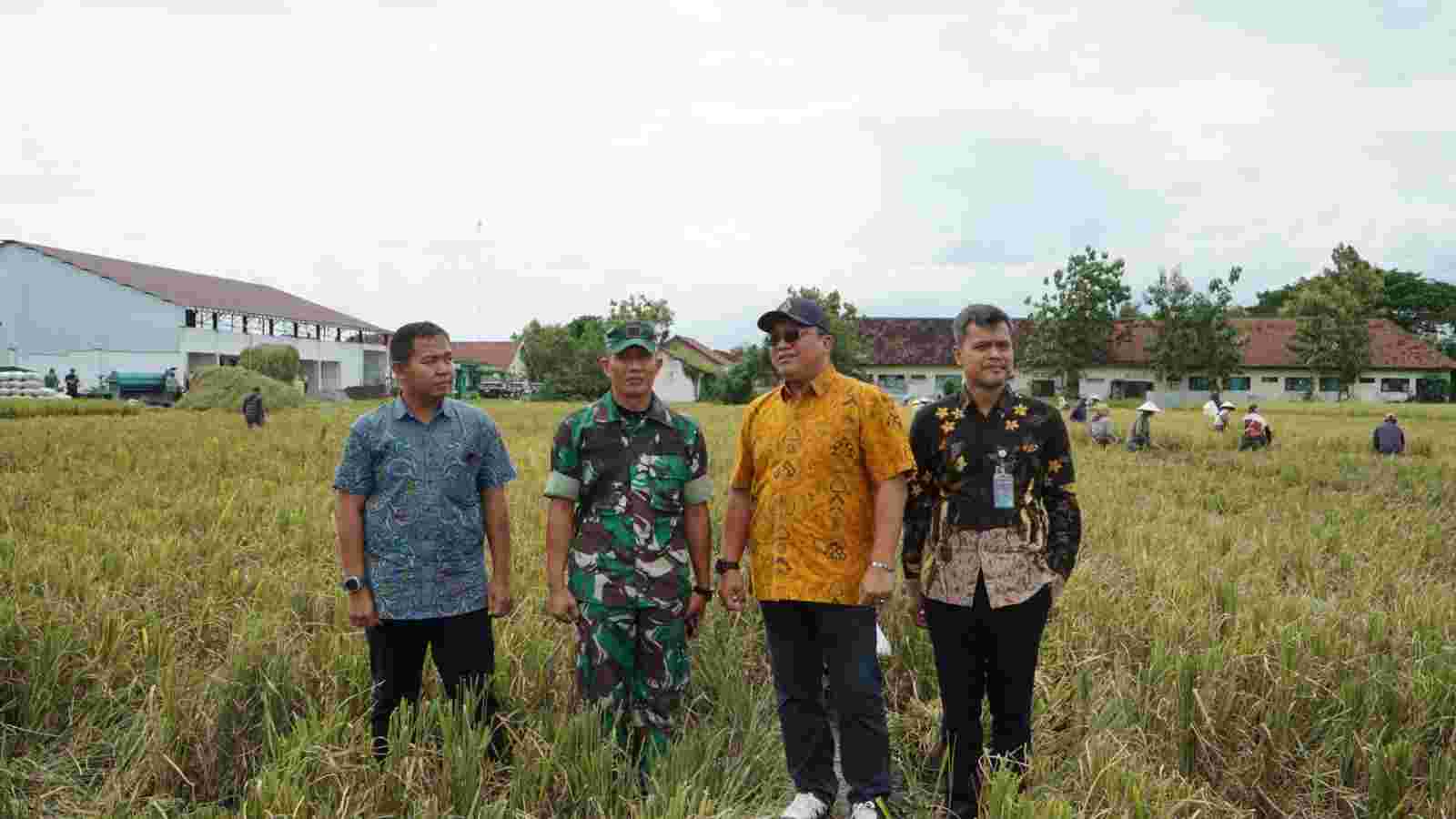 Serapan BULOG Tembus 3 Juta Ton, Perkuat Cadangan Beras Nasional dan Kesejahteraan Petani