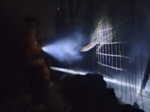 Kandang Ayam di Pandankrajan Mojokerto Terbakar