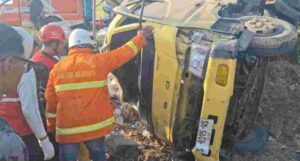 Truk Bermuatan Bata Ringan Terjun ke Area Persawahan di By Pass Mojokerto, Sopir Terjepit 2 Jam dalam Kabin