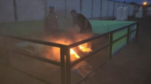 Polsek Candi Tindaklanjuti Laporan Dugaan Sabung Ayam di Desa Klurak, Hasilnya Nihil