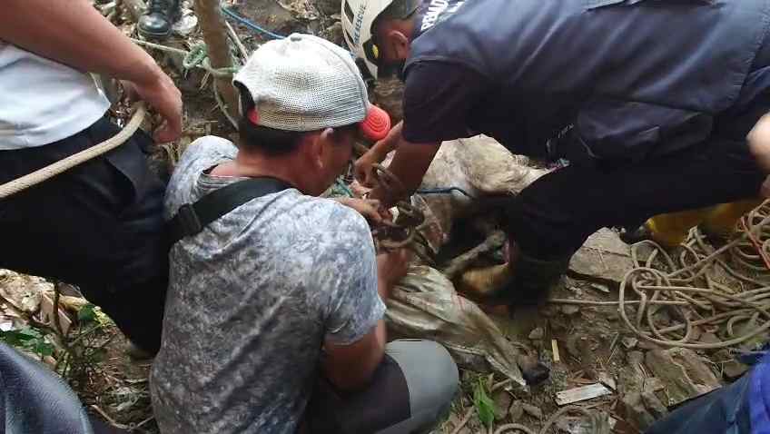 Kambing Terperosok ke Sumur di Kutorejo, Damkar BPBD Mojokerto Berhasil Lakukan Evakuasi