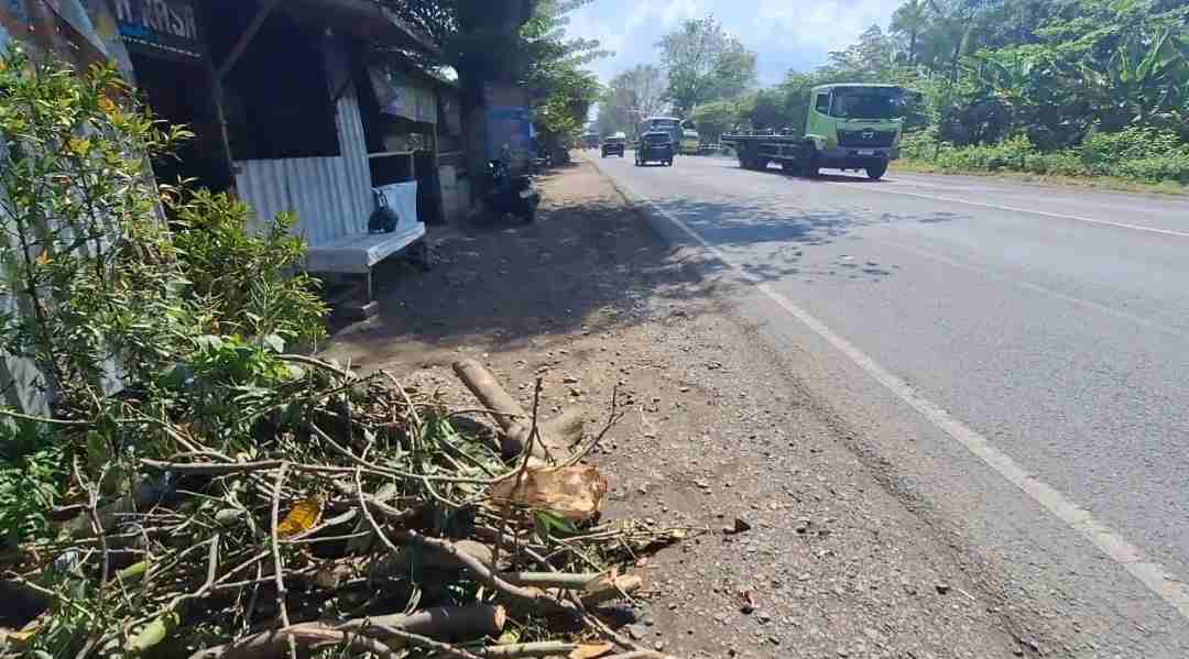 Pengendara Motor Tewas Tertimpa Pohon di By Pass Mojokerto