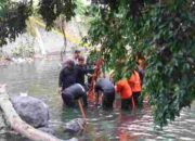 Bom Udara Aktif Ditemukan di Sungai Kota Blitar, Tim Jibom Brimob Polda Jatim Lakukan Evakuasi