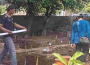Ekskavasi Situs Sentonorejo Ungkap Jejak Permukiman Elit Era Majapahit