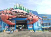 7 Wisata di Lamongan yang Wajib Dikunjungi, dari Pantai hingga Wisata Edukasi