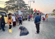 Pengendara Honda Scoopy Tewas Tabrak Dump Truck Parkir di Trowulan