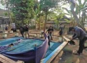 Dua Lokasi Diduga Jadi Arena Sabung Ayam di Nganjuk Digerebek Polisi, 4 Ayam Aduan Diamankan