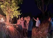 Hotspot Muncul di Gunung Lawu Utara Ngawi, Tim Gabungan Buat Sekat Bakar