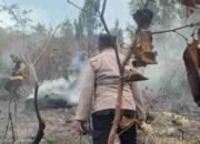Dugaan Bakar Daun Kering, Setengah Hektare Hutan di Pacet Mojokerto Terbakar